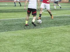 里昂引进黄,潜前锋埃卡,姆比,pg286娱乐,pg286娱乐电子官网,pg286娱乐a超凡国际,pg286娱乐电子登录入口,pg286娱乐电子注册