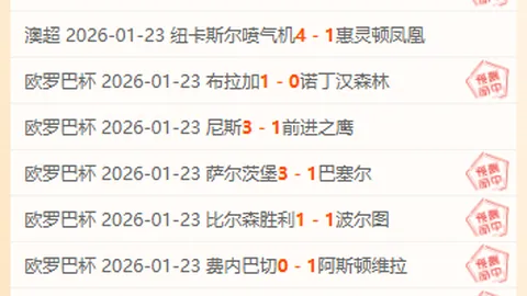 巴西足协火速招募新主教练，计划6月履新，世俱杯期间候选人暂缓接手