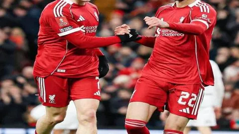 大乐透期号专家推荐：质合分析前区十码挑战大考